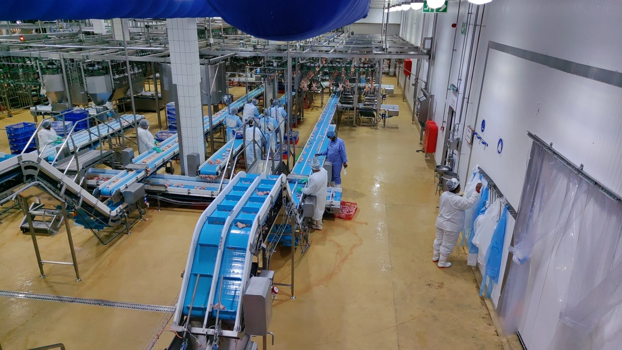 Meat and poultry processing conveyors